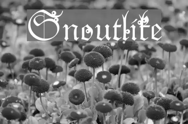 Snoutlike Font examples