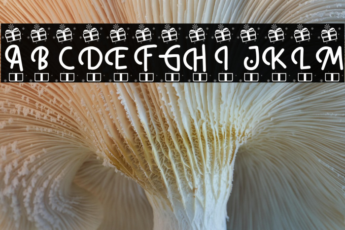 Snow Boom Christmas Example 1