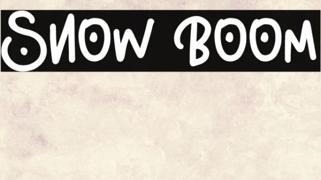 Snow Boom Example 1