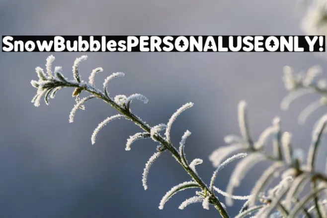 Snow Bubbles PERSONAL USE ONLY! Example 3