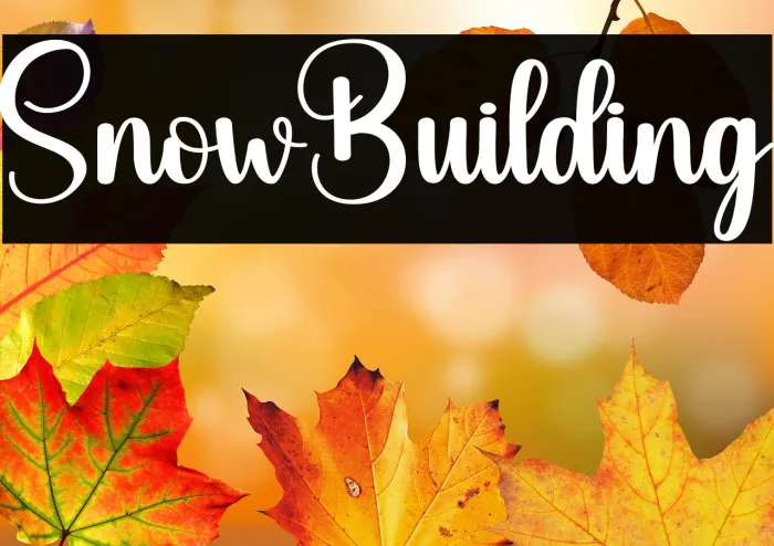 Snow Building Example 2