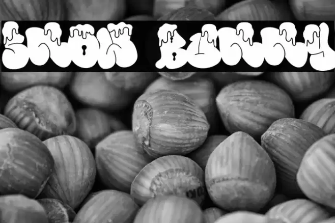 Snow Bunny Font examples