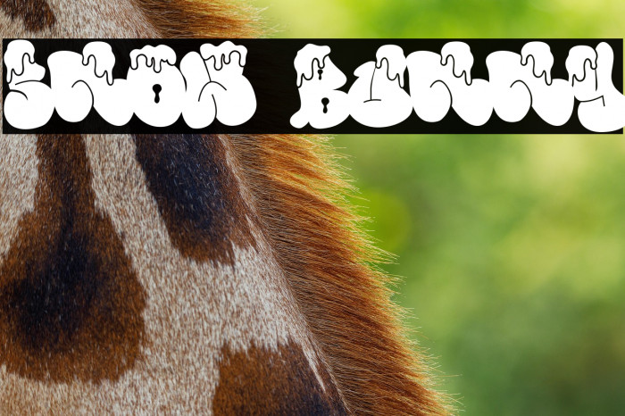 Snow Bunny Example 2