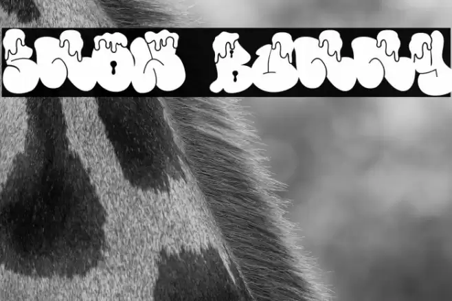 Snow Bunny Font examples