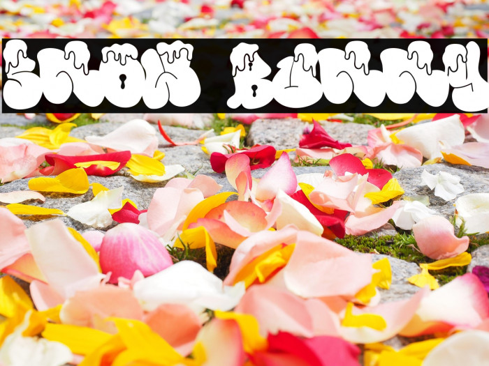 Snow Bunny Example 3