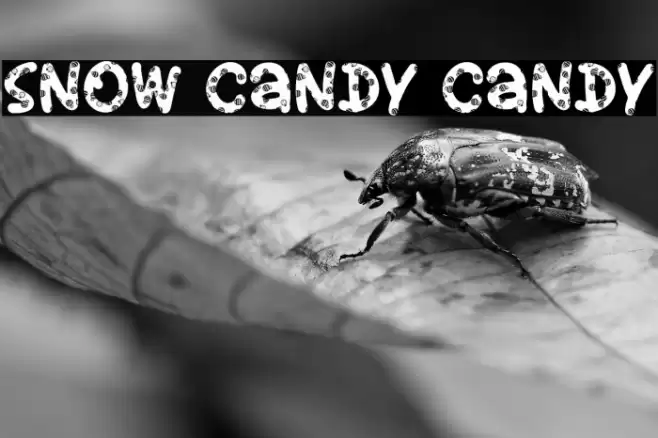 Snow Candy Candy Font examples
