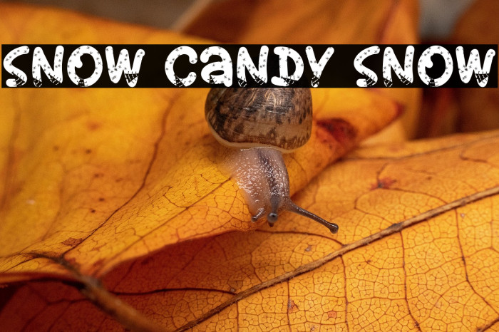Snow Candy Snow Example 3