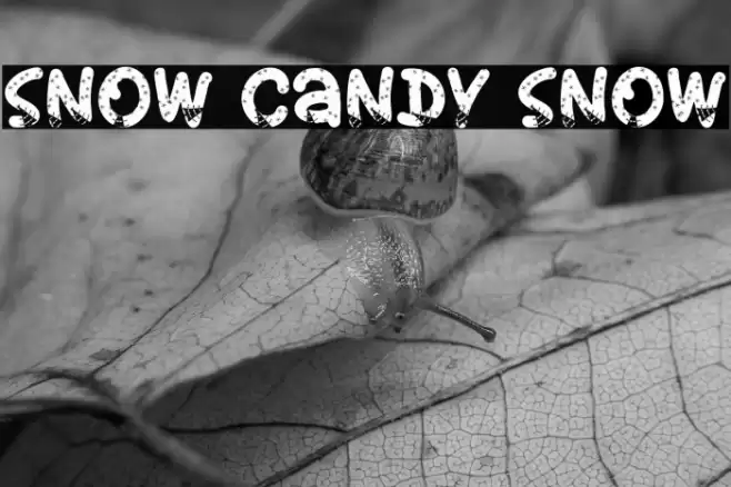 Snow Candy Snow Font examples