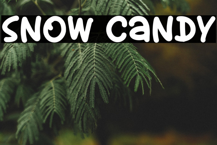 Snow Candy Example 3