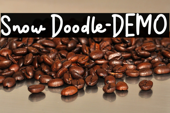 Snow Doodle-DEMO Example 1