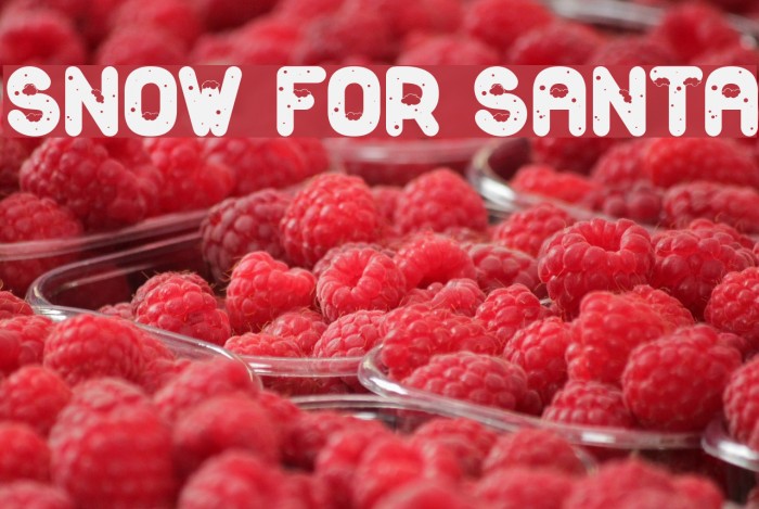Snow For Santa Fuentes examples