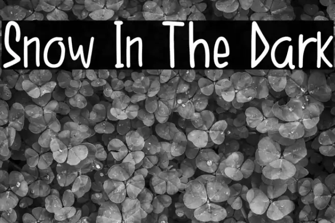 Snow In The Dark Font examples