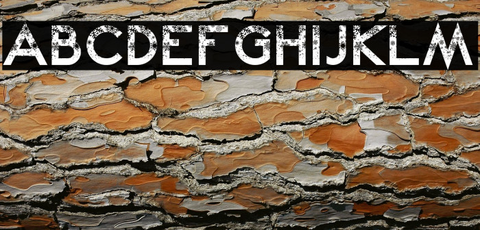 Snow Kei 2 Example 3