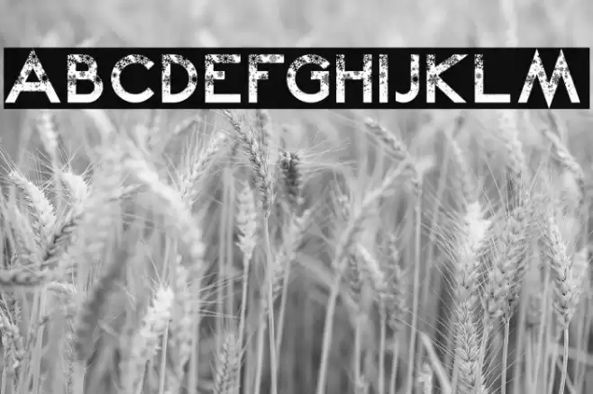 Snow Kei Font examples