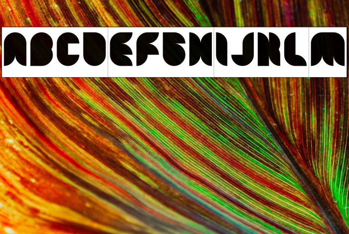 Snow Mask-Inverse Example 2