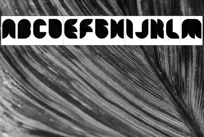 Snow Mask-Inverse Font examples