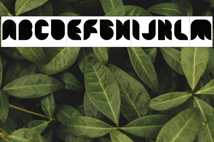 Snow Mask-Inverse Example 3