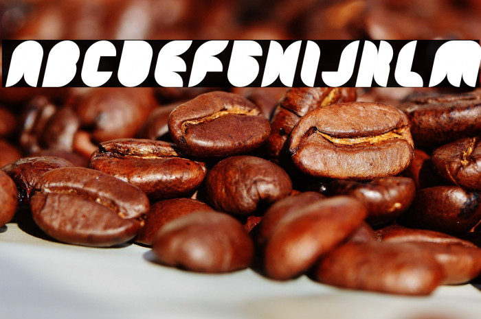 Snow Mask Italic Example 3