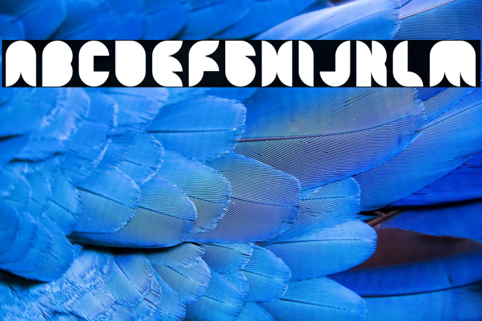 Snow Mask-light Example 2