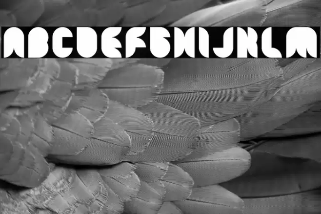 Snow Mask-light Font examples