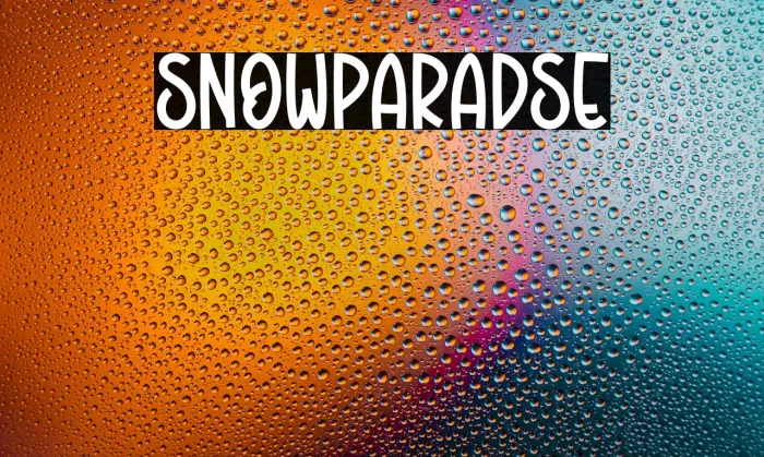 Snow Paradise Example 1