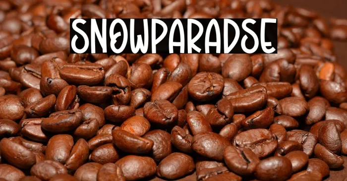 Snow Paradise Example 2
