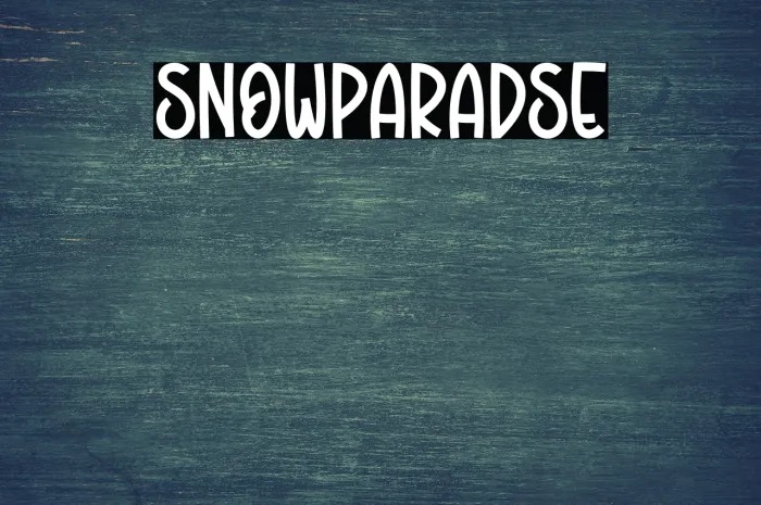 Snow Paradise Example 3