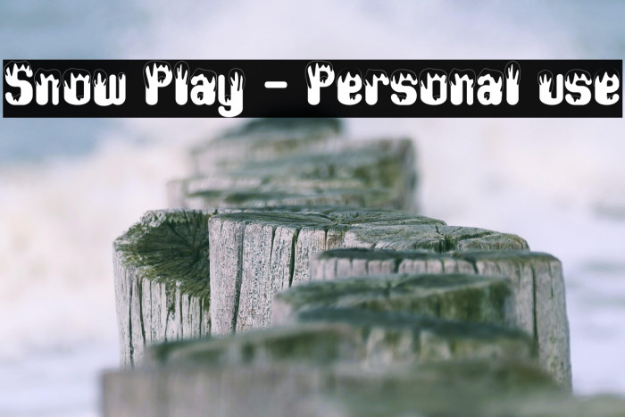 Snow Play - Personal use Example 1