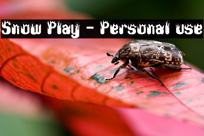 Snow Play - Personal use Example 2