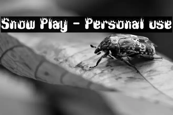 Snow Play - Personal use Font examples