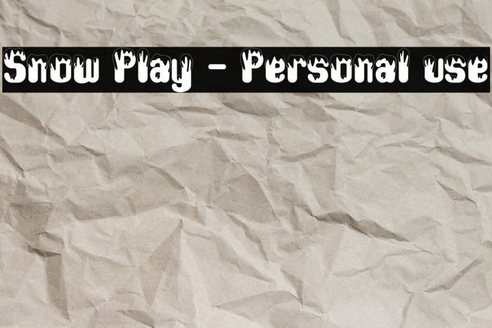 Snow Play - Personal use Example 3