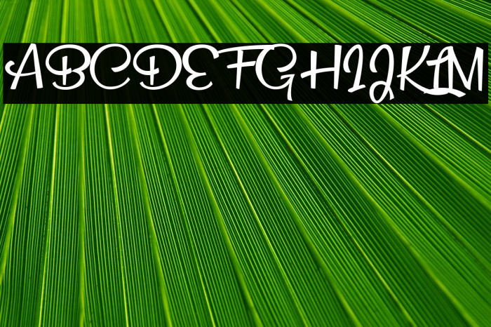 Snow Puppets Personal Use Medium Example 1