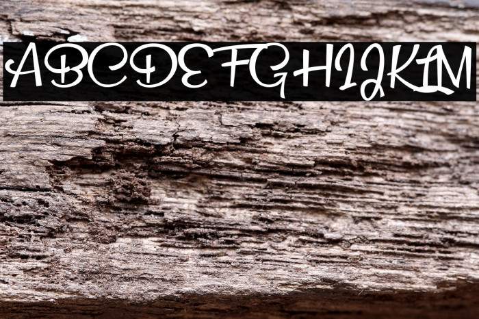 Snow Puppets Personal Use Medium Example 3