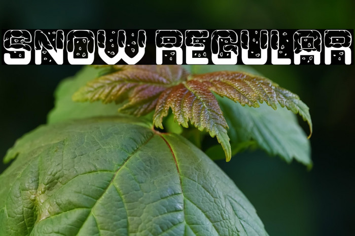 Snow Regular Example 3