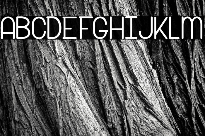 Snow Riders_PersonalUseOnly Example 1