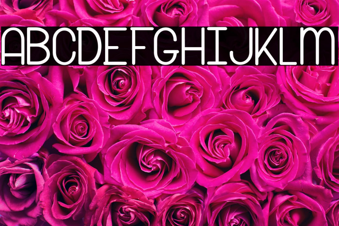 Snow Riders_PersonalUseOnly Example 3