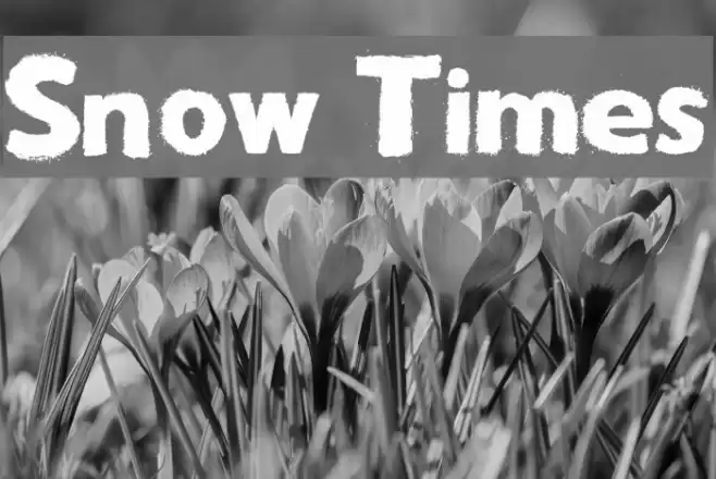 Snow Times Font examples