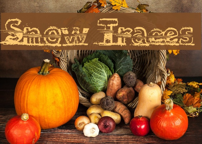 Snow Traces Example 1