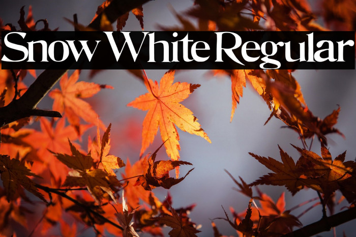 Snow White Regular Example 1