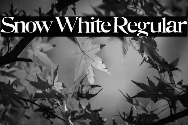 Snow White Regular Font examples