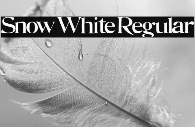 Snow White Regular Font examples