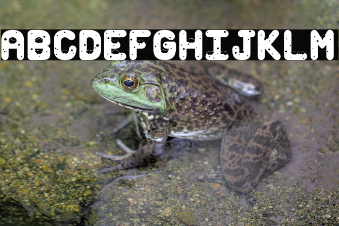 Snow for Santa_PersonalUseOnly Example 1