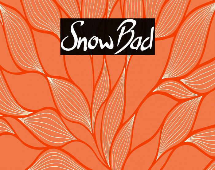 SnowBad Example 2