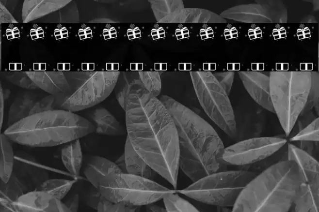 SnowBoom-Box Font examples