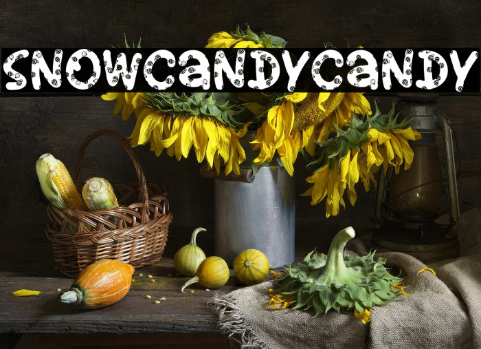 SnowCandyCandy Example 1