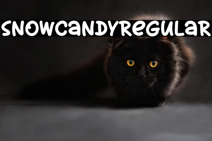 SnowCandyRegular Example 2