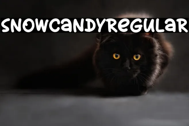 SnowCandyRegular Example 2