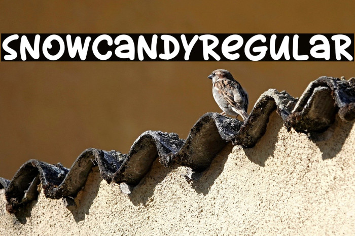 SnowCandyRegular Example 3