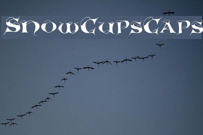 SnowCupsCaps Font examples