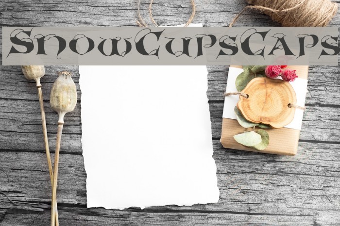 SnowCupsCaps Font examples